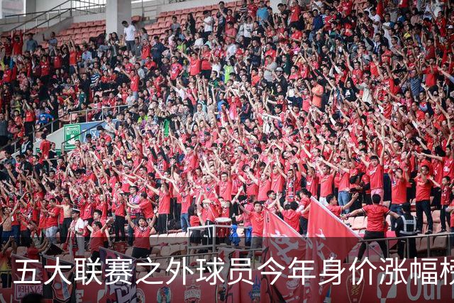 五大联赛之外球员今年身价涨幅榜：普雷斯蒂安尼、谢尔德鲁普前二